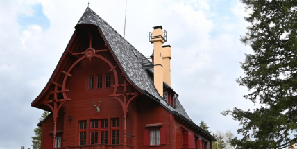 Cesta k Třem Trubkám pod dohledem: Lesníci budou kácet suché stromy