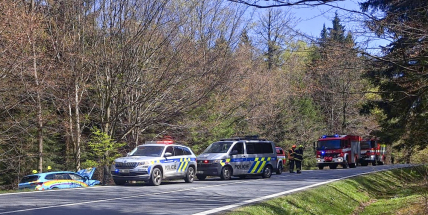 V lese nad Věšínem skončilo auto mezi stromy