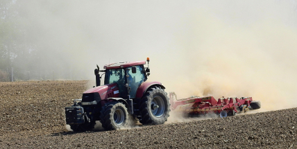 Sucho se v Česku podepisuje i na lesích. Vítr situaci dál zhoršuje