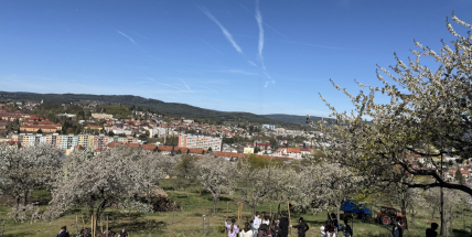 Příbram zažila ekologický ‚festival práce‘. 498 dětí, 40 Bobcatů a sad, který roste před očima