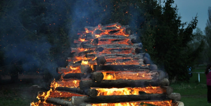 Hranice s rozumem: V potocích je třetina vody, příroda je jako troud