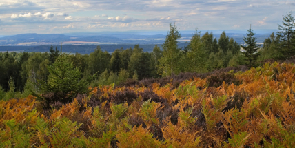 Příbramsko ve 30 sekundách: 30 sekund. Jeden detail. Jedna lokalita, obec...