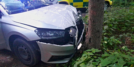 Zfetovaný a opilý řidič napálil fabii do stromu: Auto samo zavolalo pomoc přes E-call