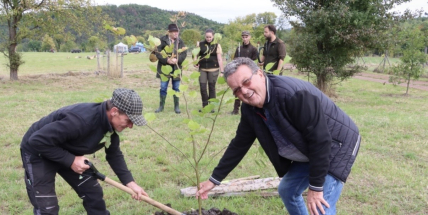 Brdské stromsázení letos spojí péči o vodu, les i historii zdejší krajiny