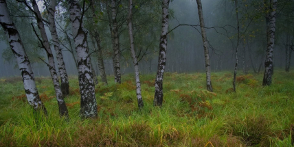Meteorologický podzim začal. V krajině přibývá barev, dny se krátí a noci studí