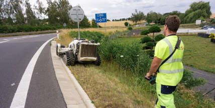 Na nové D4 se rozjela velká seč: Zeleně je kolem dálnice přes milion metrů čtverečních