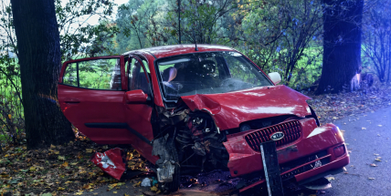 Náraz do stromu u Dublovic: V autě jely tři děti, řidička odmítla dechovou zkoušku