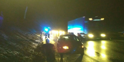 Fabia srazila na dálnici prase