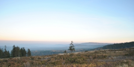 Ekolog: Dopadové plochy v Brdech jsou cennými lokalitami