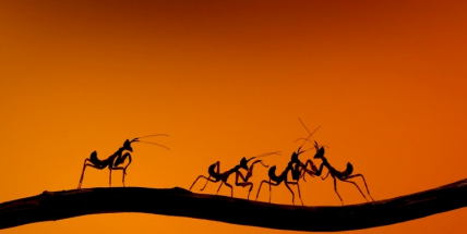 V příbramské galerii zítra zahájí hned dvě výstavy