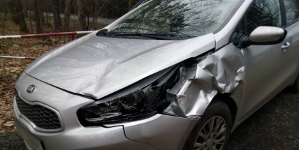 Řidič srazil u Rosovic srnku