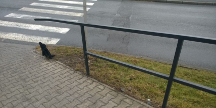 A je to: Na rozbité zábradlí pomůže hadr