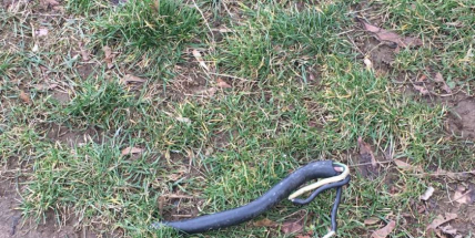 Pod proudem, nebo ne?