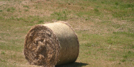 Bouře ve středních Čechách pozdrží žně, sklizeno je 10 pct ploch