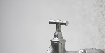 Zahrádkářům se nelíbí letní zákazy kropení zahrad