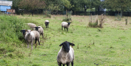 Kraj poskytne milion Ekocentru v Orlově