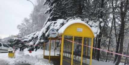 Město varuje: Do lesa jen s maximální obezřetností