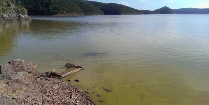 Voda v přírodních koupalištích ve středních Čechách je dobrá