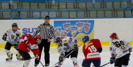 Odpoledne můžete zafandit ženskému hokeji nebo extraligovým volejbalistům