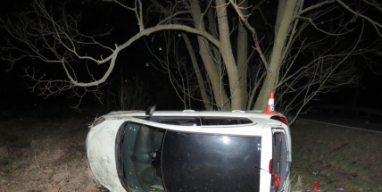 Za jednu nehodu mohla zvěř, za druhou špatný odhad