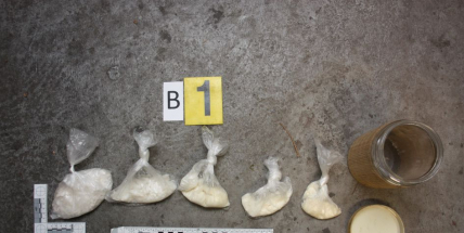 Při akci „Buchna“ zadrželi policisté celkem 11 osob