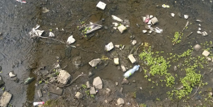 Smutný pohled. To vše plave v Příbramském potoce