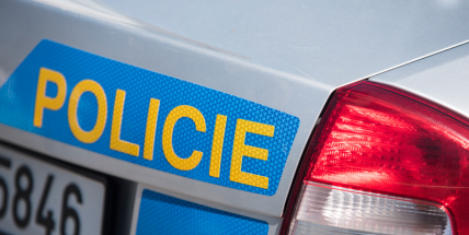 Ze zahrady v Příbrami chtěli ukrást sochu, policie je chytila