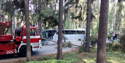 Děti z Pičína jely na Novák, s autobusem se utrhla krajnice