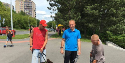 Po Příbrami se potulují tři medvědi, zvou na představení cirkusu Berousek