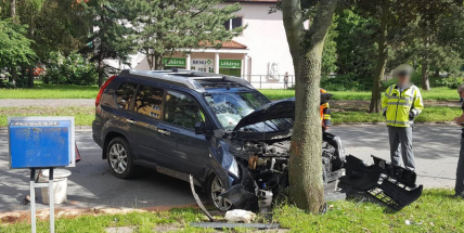 Nissan skončil přímo ve stromu