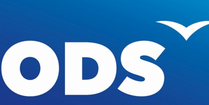 Sliby chyby: Plní osamocený Šedivý volební program ODS?