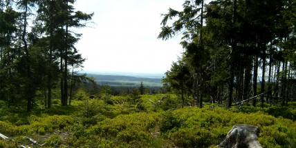 Turistický autobusový spoj Příbram – Orlov vyjede poprvé tuto sobotu