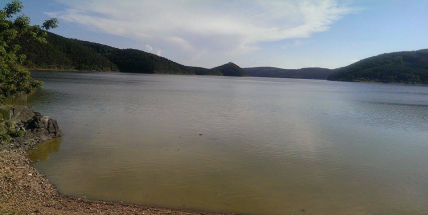 V některých přírodních koupalištích v ČR je velké množství sinic