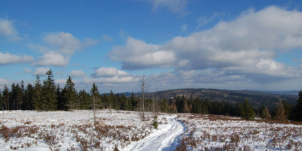 Do Brd by měly být instalovány hlásiče pro případy nehod