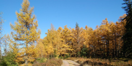 Plzeňský kraj vydal první turistickou mapu Brd