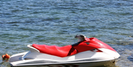 Vyhláška navrhne zpomalení lodí a skútrů na přehradách