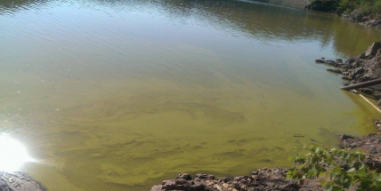 Díky chladnějšímu počasí se kvalita vody zlepšuje