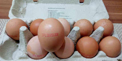Polská vejce v obchodních řetězcích ohrožují salmonelou i Příbram
