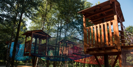 Příbram zřejmě nechá odstranit lanový park, bojí se možných úrazů