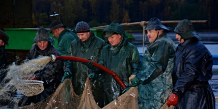 Co se skrývalo pod hladinou Hořejšího padrťského rybníka