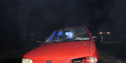 Auto dostalo smyk a skončilo v rybníku