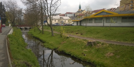 Stromy u Příbramského potoka padly kvůli cyklostezce