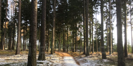 V Brdech se příští rok označí stezky a trasy pro cyklisty