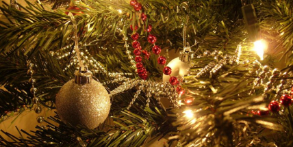 I po Vánocích může být stromek užitečný, přihlaste ho do soutěže