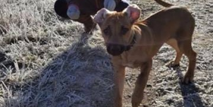 Pomozte nám hledat!