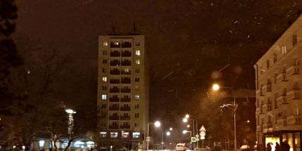 Nemusíte usednout za volant? Raději zůstaňte doma!