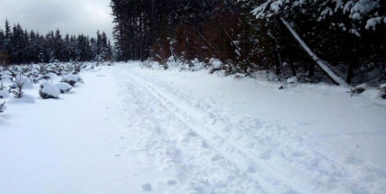 Lyžařské stopy v Brdech: Běžkaři jednají s Vojenskými lesy