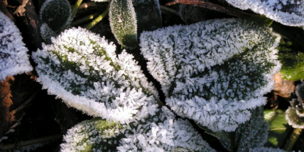 ČR čekají další mrazivé dny, v noci může být i kolem minus 20 st.