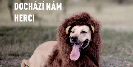 V pátek do Příbrami zavítá Ekotopfilm, vstupné je zdarma