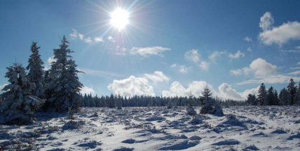 Vojenské lesy a statky vyjdou částečně vstříc běžkařům